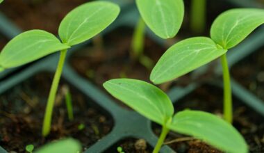 nowoczesne rolnictwo